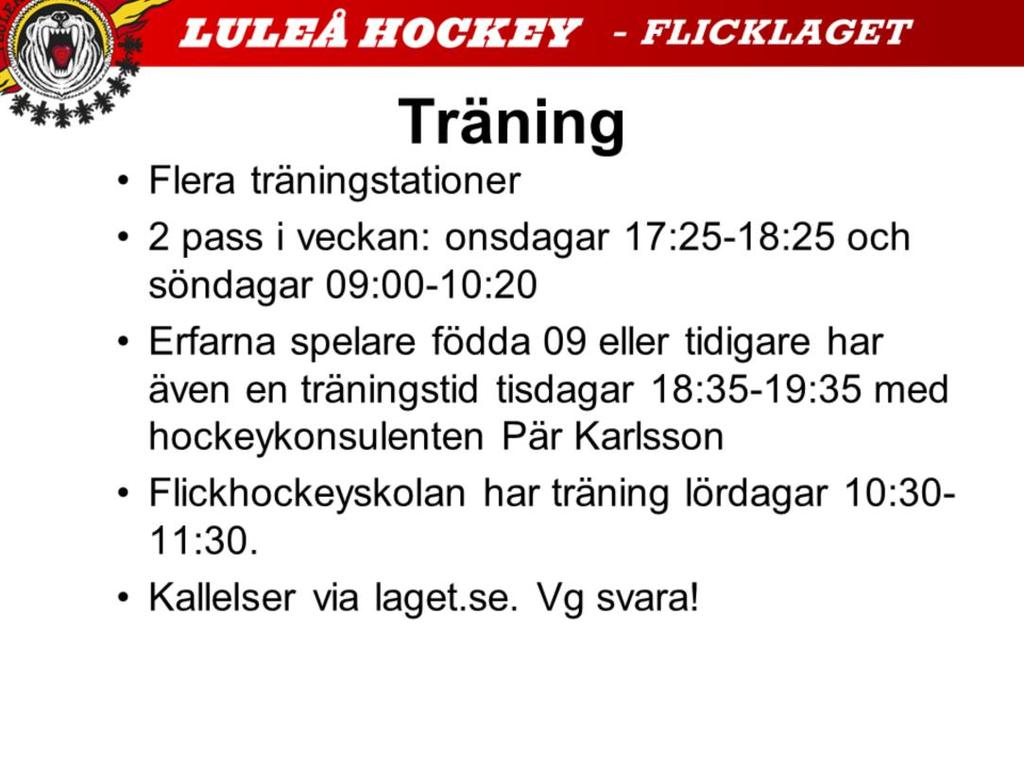 Vi jobbar med olika grupper beroende på i första hand hockeykompetens men även med viss tankte på storlek och ålder.