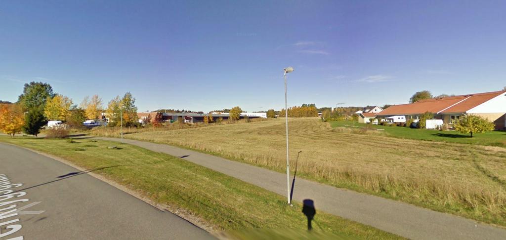 Planeringsförutsättningar Mark och vegetation Västra delen av planområdet består av en parkeringsplats med träd planterade i norr mellan parkeringen och industribyggnaden.
