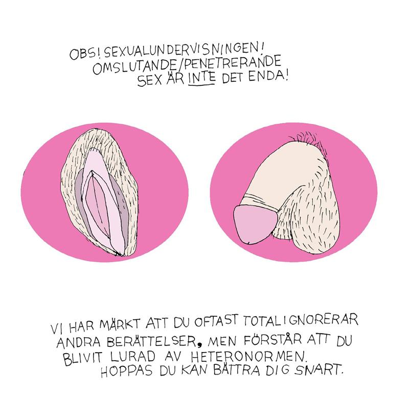 Det är viktigt att börja med att säga att vi faktiskt har bra läroplaner med många formuleringar som sammantaget ger en allsidig och ämnesövergripande sexualundervisning och att många lärare och