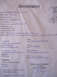 Kaninen ska vara märkt med minst tre siffror tatuerade i vänstra örat. Den första siffran anger födelseår, den andre kullnummer och den tredje individnummer.