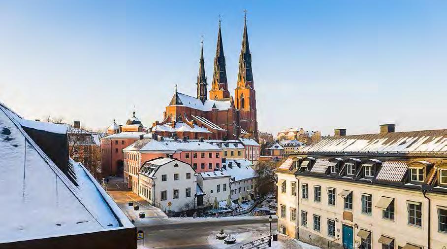 Taklandskapet kring domkyrkomiljön har mycket höga kulturhistoriska och upplevelsemässiga värden. Men även andra delar av innerstaden har värdefulla taklandskap som ska värnas.