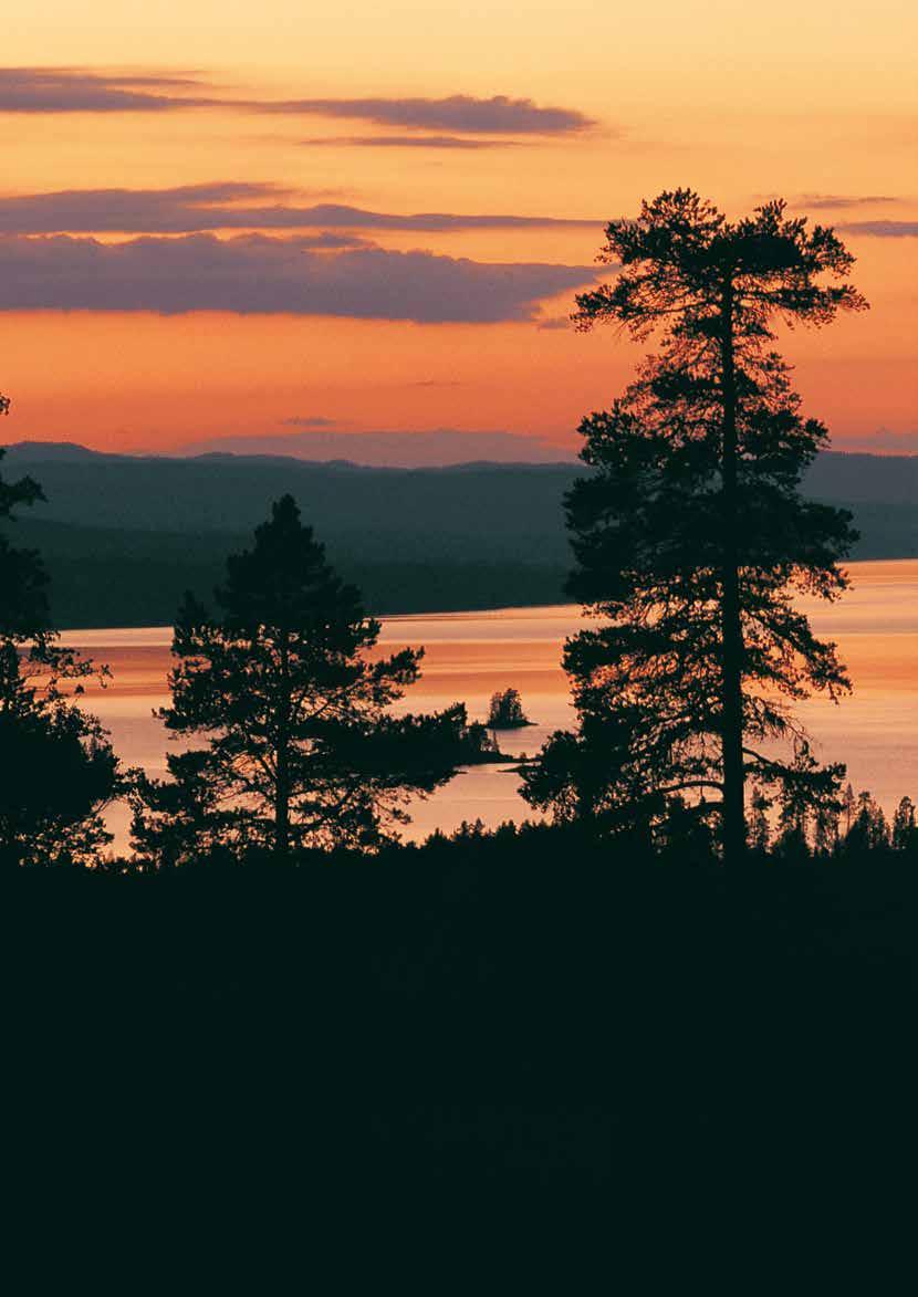 Vår strävan är att ge dig som kund bästa tänkbara service beträffande belysningsteknisk rådgivning och projektering.