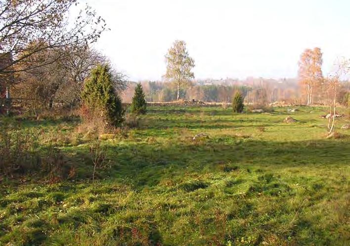 MOB 2013-8 Miljö- och byggnadsförvaltningen 15 2017-04-24, reviderad 2017-08-08 ANTAGANDEHANDLING Område 4 Geoteknisk undersökning Naturinventering En översiktlig naturinventering utfördes även under