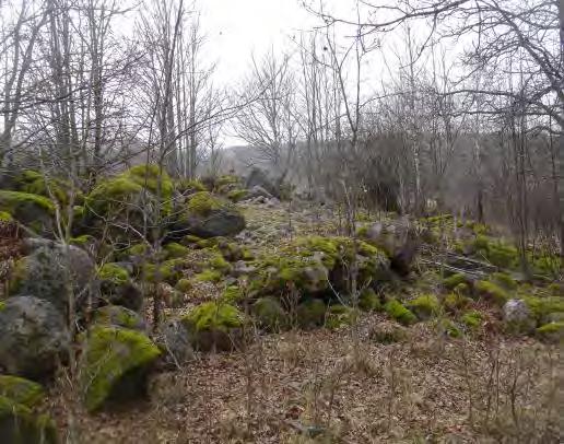 MOB 2013-8 Miljö- och byggnadsförvaltningen 28 2017-04-24, reviderad 2017-08-08 ANTAGANDEHANDLING Riksintressen för kommunikation Planområdet är lokaliserat i anslutning till Riksväg 40 (RV 40) och