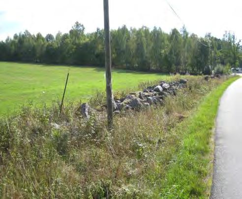 RV 40 gränsar till planområdets norra del och exploatering av området bedöms inte påverka riksintresset för kommunikationer och möjligheterna till drift, underhåll eller framtida utveckling av RV 40.