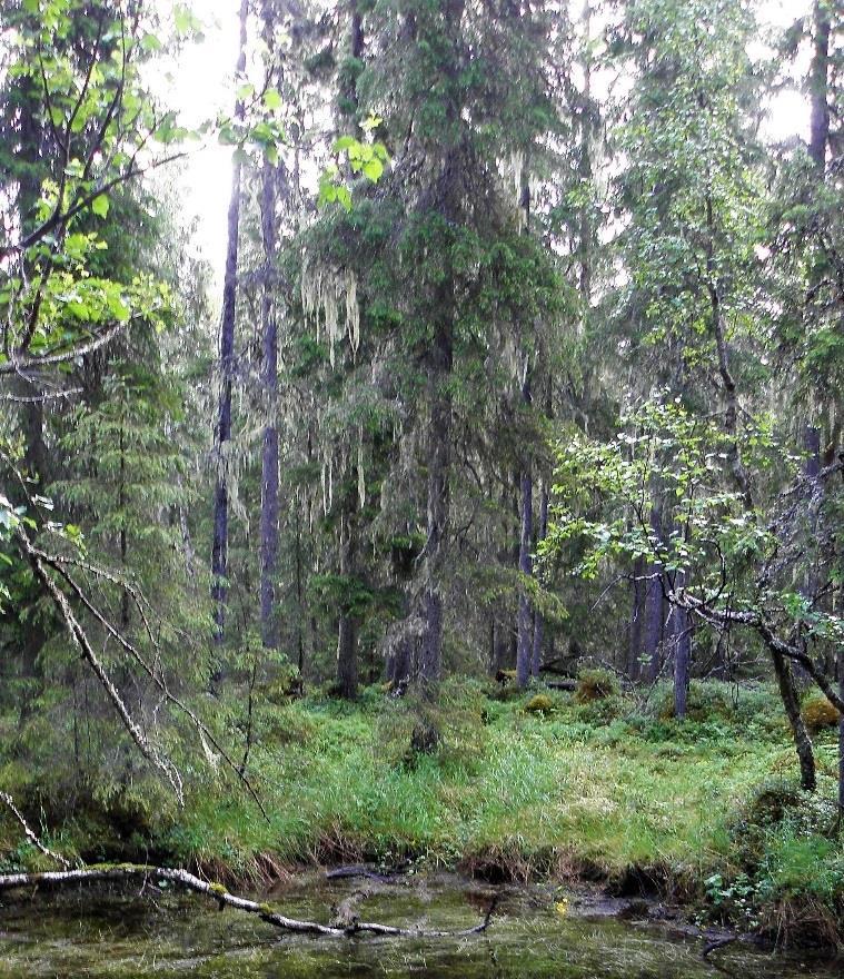 1 / 11 Beslut Datum 2018-12-17 511-7996-2017 Dossiénr NVR2049344 Dnr (anges vid skriftväxling) Beslut för bildande av naturreservatet Ljusberget Uppgifter om naturreservatet Naturreservatets namn: