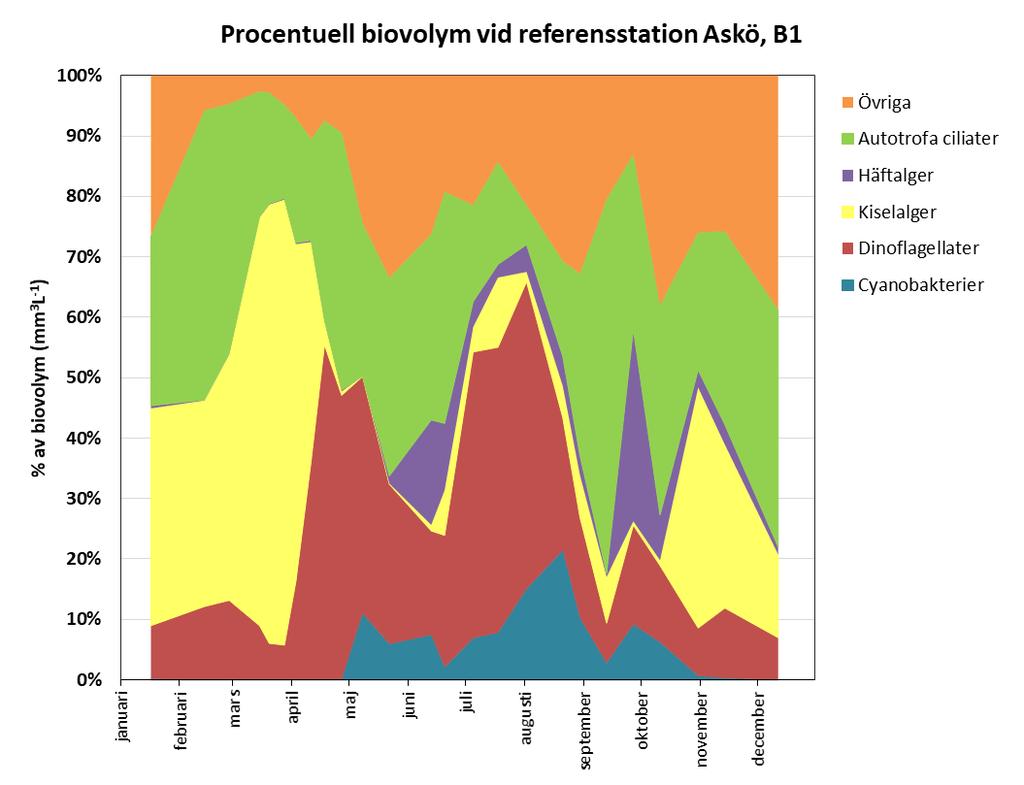 Fig. 5.8b. Olika växtplanktongruppers procentuella andel av den totala biovolymen vid referensstationen B1 (Askö) 2017.
