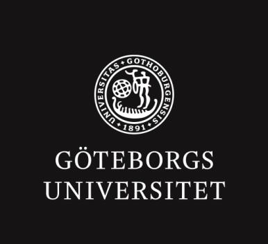 UPPFÖLJNING AV VERKSAMHETSPLAN
