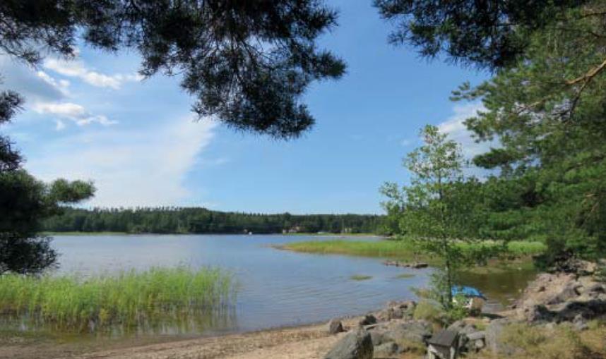 RAPPORT 1(28) Susanna Weiberg, 0586-481 59 susanna.weiberg@degerfors.