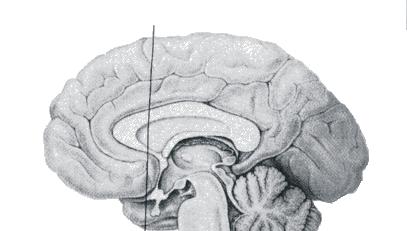 jonkanaler som finns i neuronens eller nervcellens membran Receptors and