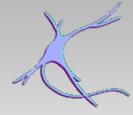 dendrit synapser axon Elektriska impulser initieras i dendriterna och sprider sig till axonen.