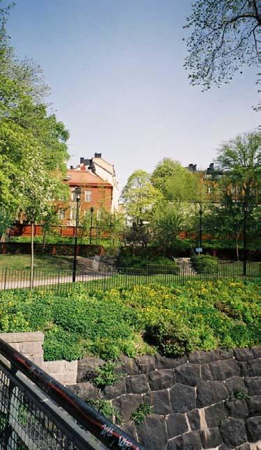 I gällande plan Dp 8454 A från 1989 omfattas Fatbursträsket 3, (bostadshus Högbergsgatan 49), Stiftelsen 1 (Oscar I:s minne, Björngårdsgatan) samt Södra barngårdshuset i parken av skyddsbestämmelser
