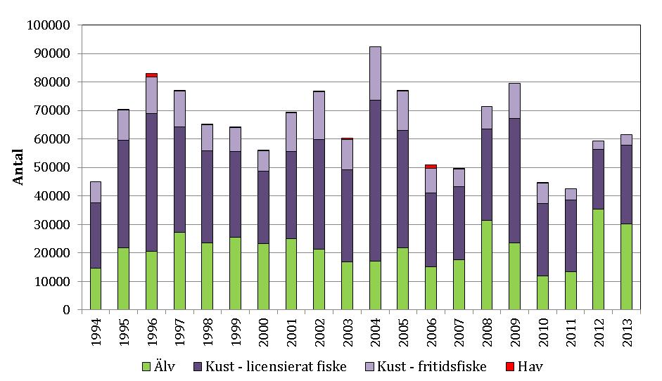 det viktigt att poängtera att de totala skattningarna av hur mycket lax som fångats vid älvfiske är mycket osäkra. Sedan 2013 förekommer inget svenskt licensierat laxfiske på öppet hav.