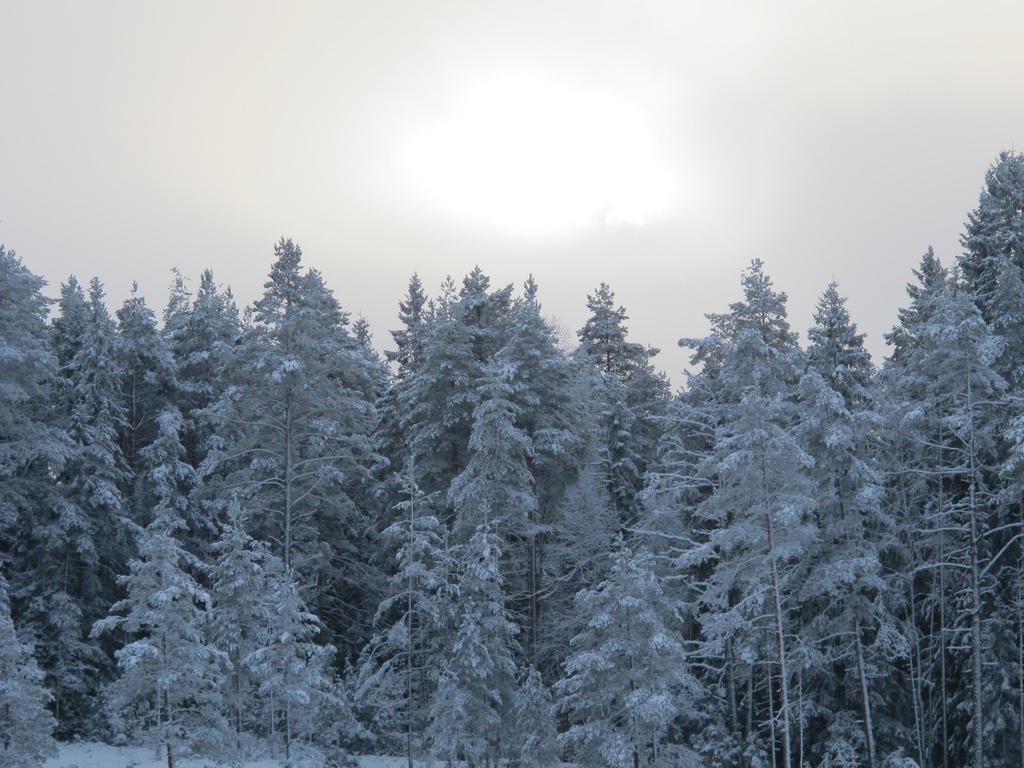 LANDSKAPSFULLMÄKTIGE Landskapsfullmäktige svarar för landskapets verksamhet och ekonomi samt innehar landskapets högsta beslutanderätt. Mandatperioden är fyra år. Landskapsfullmäktige beslutar om bl.