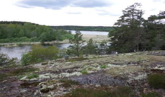 4. I norr och väst omges inventeringsområdet av sjön Lommaren.