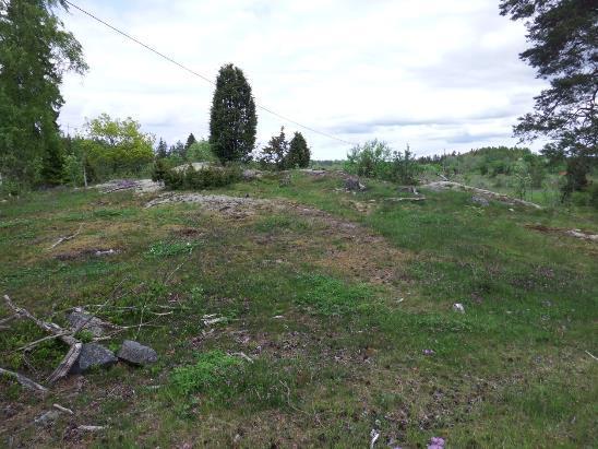 18. Hällmarkstorrängar finns inom objekt 12. 13 Lövskogslund Beskrivning: Lövskogslund med ask EN, björk, lönn och sälg.