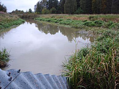 . Stallbackaån, Hedeäng (Trollhättan) Län: 4 Västra Götaland Beskuggning: saknas Kommun: - Vattennivå: hög Koordinater: 6469703/29665 (RT90) Vattenhastighet: lugnt Provtagningsmetodik: SS-EN 3946