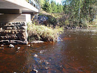 9. Jälmån, Grönahög-kvarnen Län: 4 Västra Götaland Beskuggning: saknas Kommun: - Vattennivå: medel Koordinater: 6395702/367727 (RT90) Vattenhastighet: strömt Provtagningsmetodik: SS-EN 3946