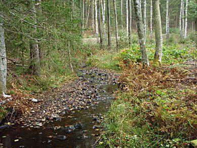 23. Sillebäcken, Taraldsön Län: 4 Västra Götaland Beskuggning: >50 % Kommun: Bengtsfors Vattennivå: låg Koordinater: 6564350/289570 (RT90) Vattenhastighet: strömt Provtagningsmetodik: SS-EN 3946