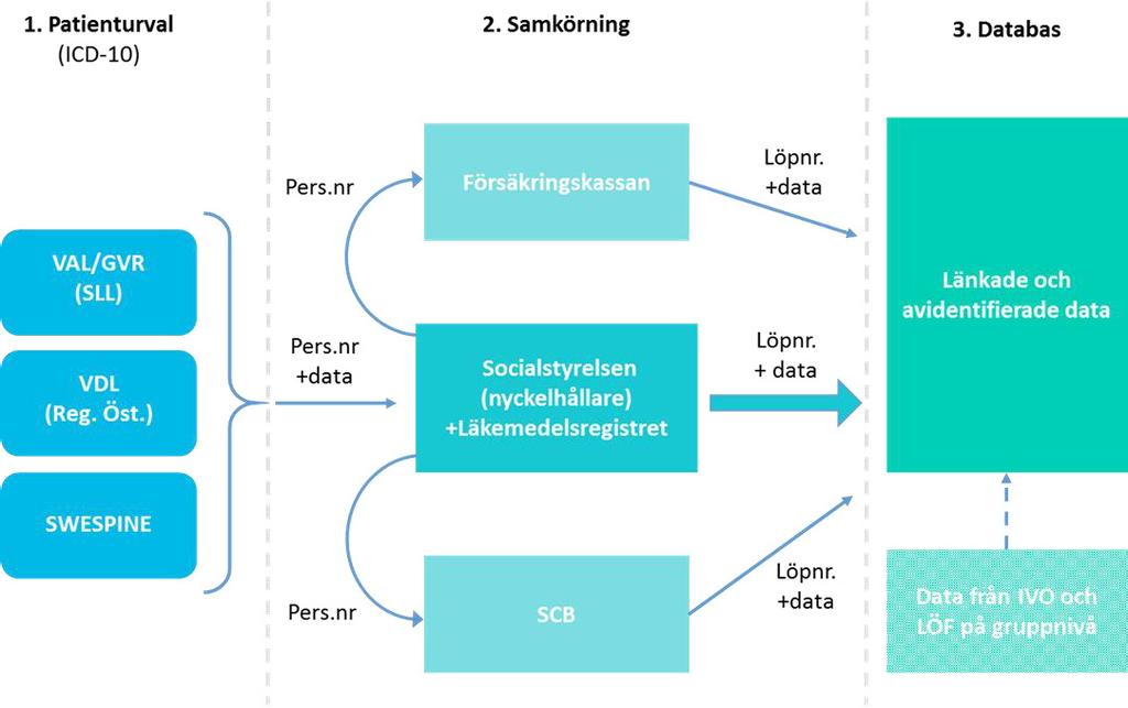ryggkirurgi inte kunde uteslutas begärdes hela handlingen ut för bedömning. Dessa sammanställdes utifrån typ av anmälning (lex Maria eller enskilt klagomål från patient) samt utfallet för ärendet.