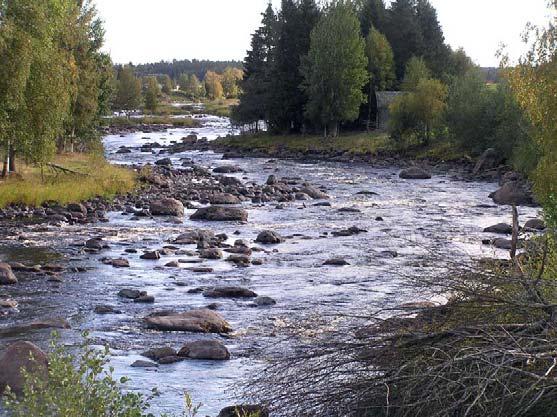 Mål/Målbild Vi måste kunna sätta upp ett mål för restaureringen som är anpassat till platsens/vattendragets särart.