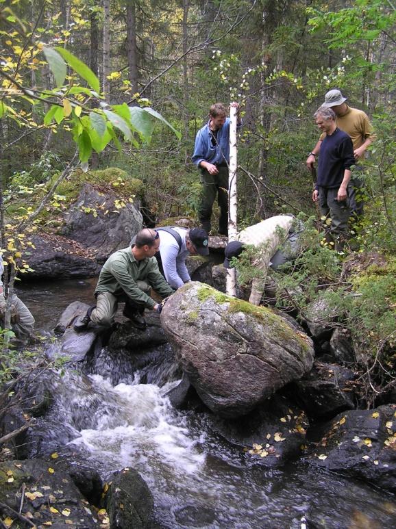 Vad är nu: 1. Naturligaste, 2. Miljövänligaste, 3.