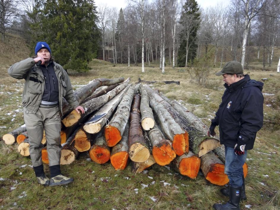 Exempel: Död ved (LWD) skall återföras till en jordbrukså Genom mål/målbild är mängd bestämd, Syftet är att starta återmeandring, samt öka variationen i habitat och