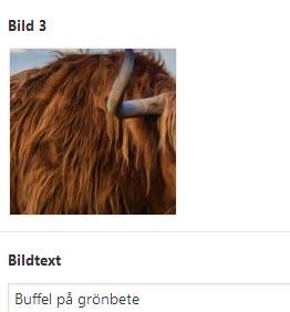 Startsidan (första sidan) Första sidan brukar ofta ha ett annat utseende än de andra på sajter (på engelska ofta kallad landing page), och behöver därför ha lite andra konfigureringsmöjligheter.