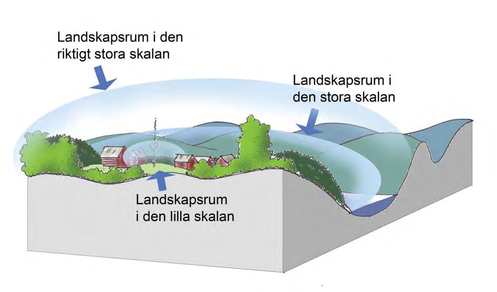Figur 13: Övergripande skalrelationer i landskapet och hur rumslighet finns i landskapet på flera olika skalnivåer.