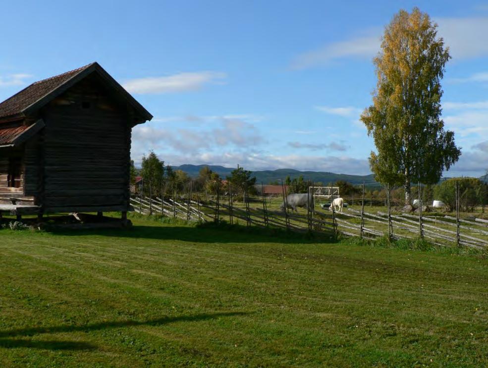 Foto: Mellanrum AB DET AKTIVA LANDSKAPET Det tredje landskapet är det som ger möjlighet till hisnande och fartfyllda