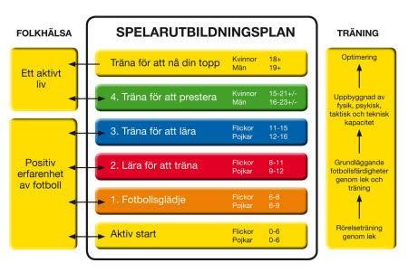 Lärande Nedanstående figur är den röda tråden i spelarutbildningsplanen. Den beskriver nivåerna som en spelare passerar i sin utveckling från barn- till seniorspelare.