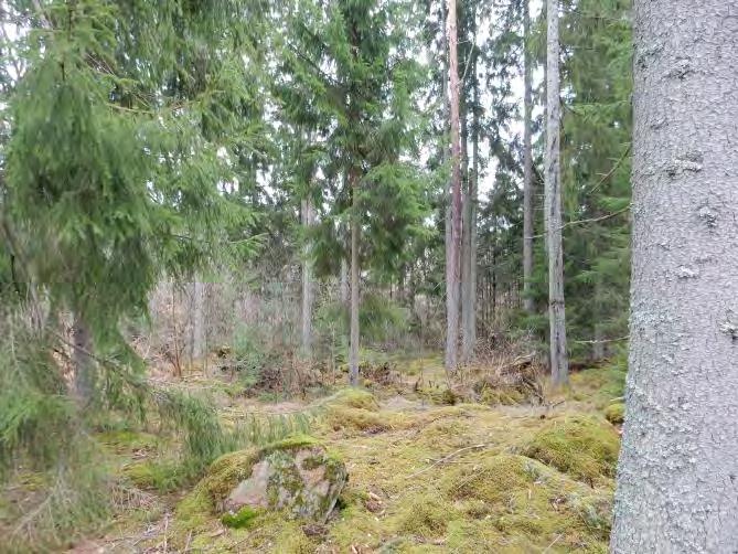 I öster ligger Hanaslövsberget. Ett dike sträcker sig öster om både det södra och norra området. Skogsmarken i den norra delen av planområdet består av barrskog med tall och gran.