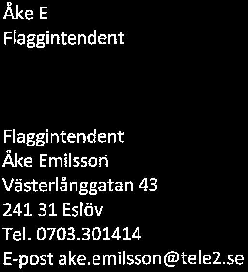 Ordförande i kommittén är Landshövdingen. Styrelsen kallat Vu /sammanställer och verkställer vad som beslutas i Lä nskom mitten.