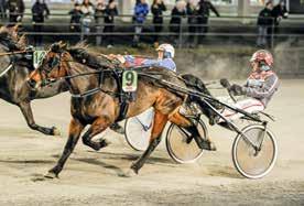 Säkerhetsteknik AB, Tierp Olsson M Ro /0-6 / 80 4,6 c c 9 35 Orange, vitt axelparti & svart ärm; sv Olsson M Bs /0 - / 60 4, c c 5 G Lindqvist Ove A (Olsson Mikael) a Olsson M B / -3 / 60n 5, c c 3
