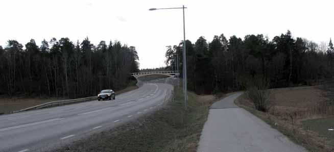 av träden och spanar ut över landskapet efter möjliga bytesdjur. Eventuell avverkning måste föregås av dispens från biotopskydd.