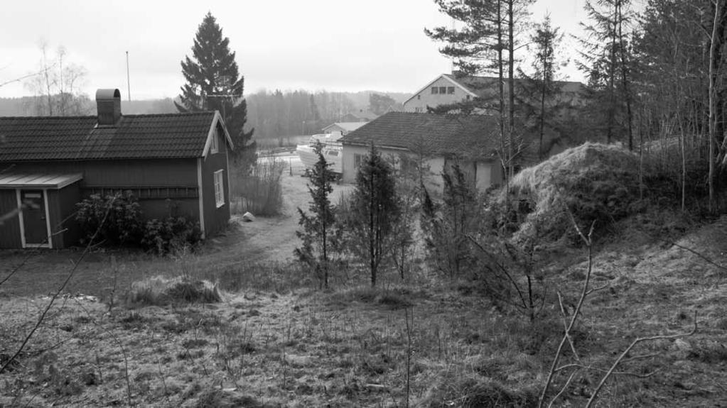 Ill. 8. Bild tagen i sluttningen ovanför torpet Stenbacken, mot sydost. På bilden syns hur terrängen höjer sig upp från tomten, mot nordväst och fotografen.