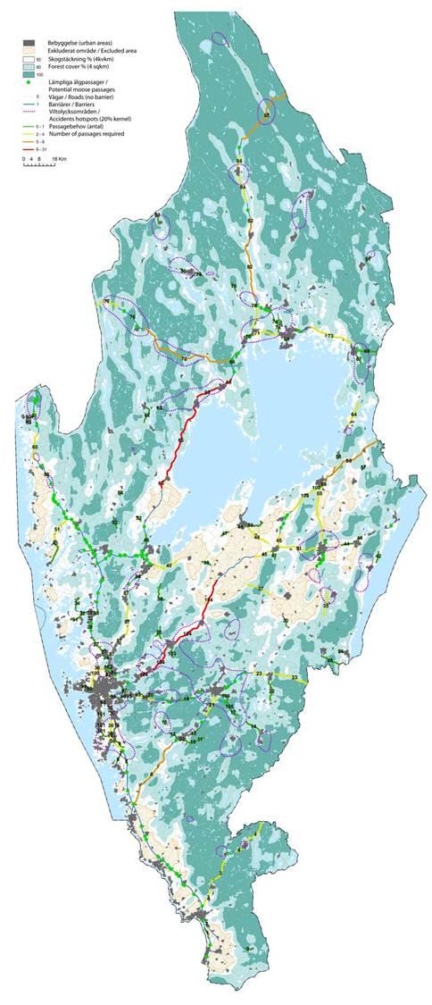 Steg 2: Identifiera storskaliga stråk Ger svar på hur arter sprider sig som rör sig över mycket stora arealer samt förutsättningar för spridning på lång sikt för merparten av arter (betänk