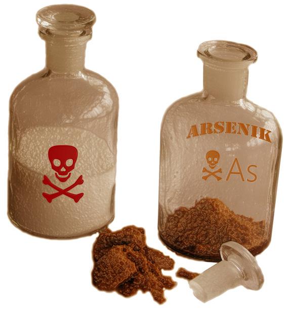 6 Källmaterial Giftmord Begånget: 1861-05-27 Gärningsmän: