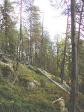 Bevarandeplan Natura 2000 Rågsvedjeberget SE0710070 Namn: