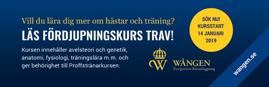 Tipset till Thess Prinsen som härdats i tuffare gäng och är klart bättre än raden. Startduon Järvsöfjellan och Tinas Odin är båda dugliga och lär hålla undan farligt länge.