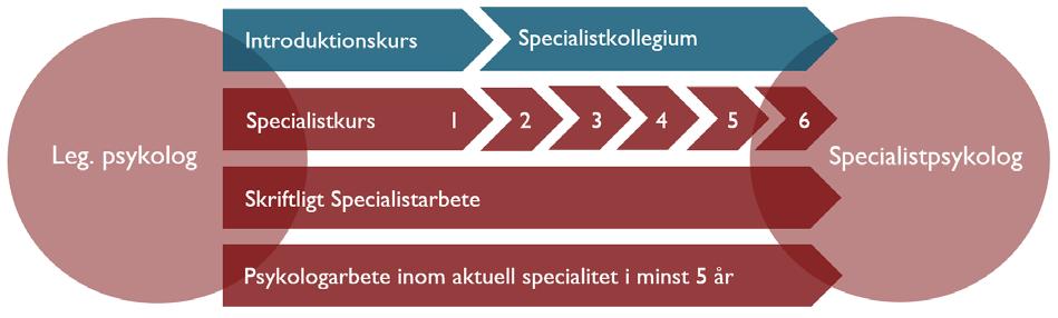 yrkesutövning som psykolog i verksamhet som har relevans för specialiteten (i dagsläget minst 30% av heltid). De olika momenten i utbildningen presenteras med fetstil i följande stycke.