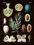 182  181 