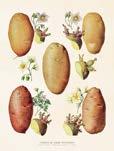 166  177