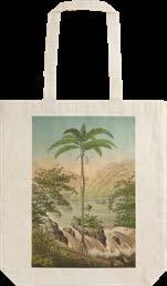 STBAG 04