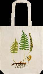 STBAG 06