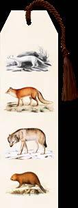 30 STBOK