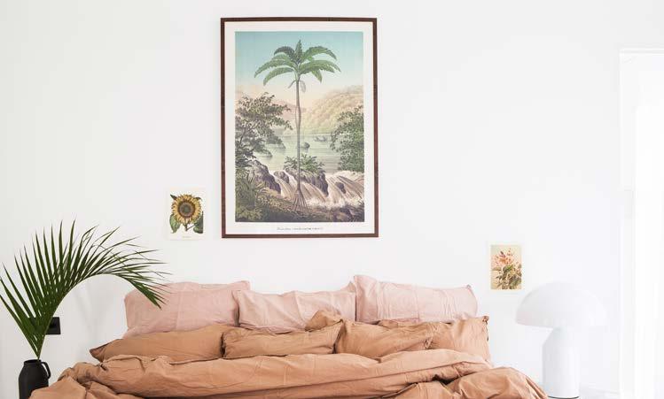 50X70 CM 