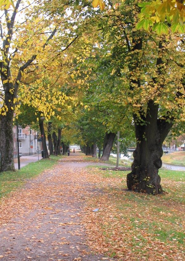 stycket, lämnas ut endast om den myndighet som begär uppgiften finner att det kan antas att den som söks för delgivning håller sig undan eller att det annars finns synnerliga skäl.