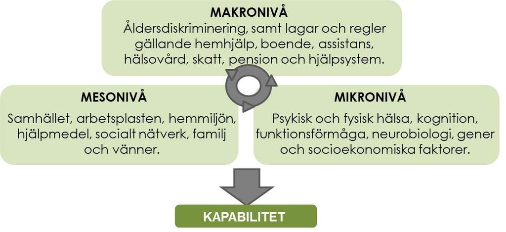 För att förstå kapabilitet hos äldre personer