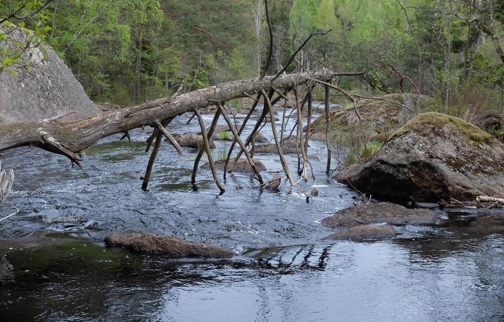 12 miljö, plan, bygg, tekniska, VA, räddningstjänst, kommunala bolag.